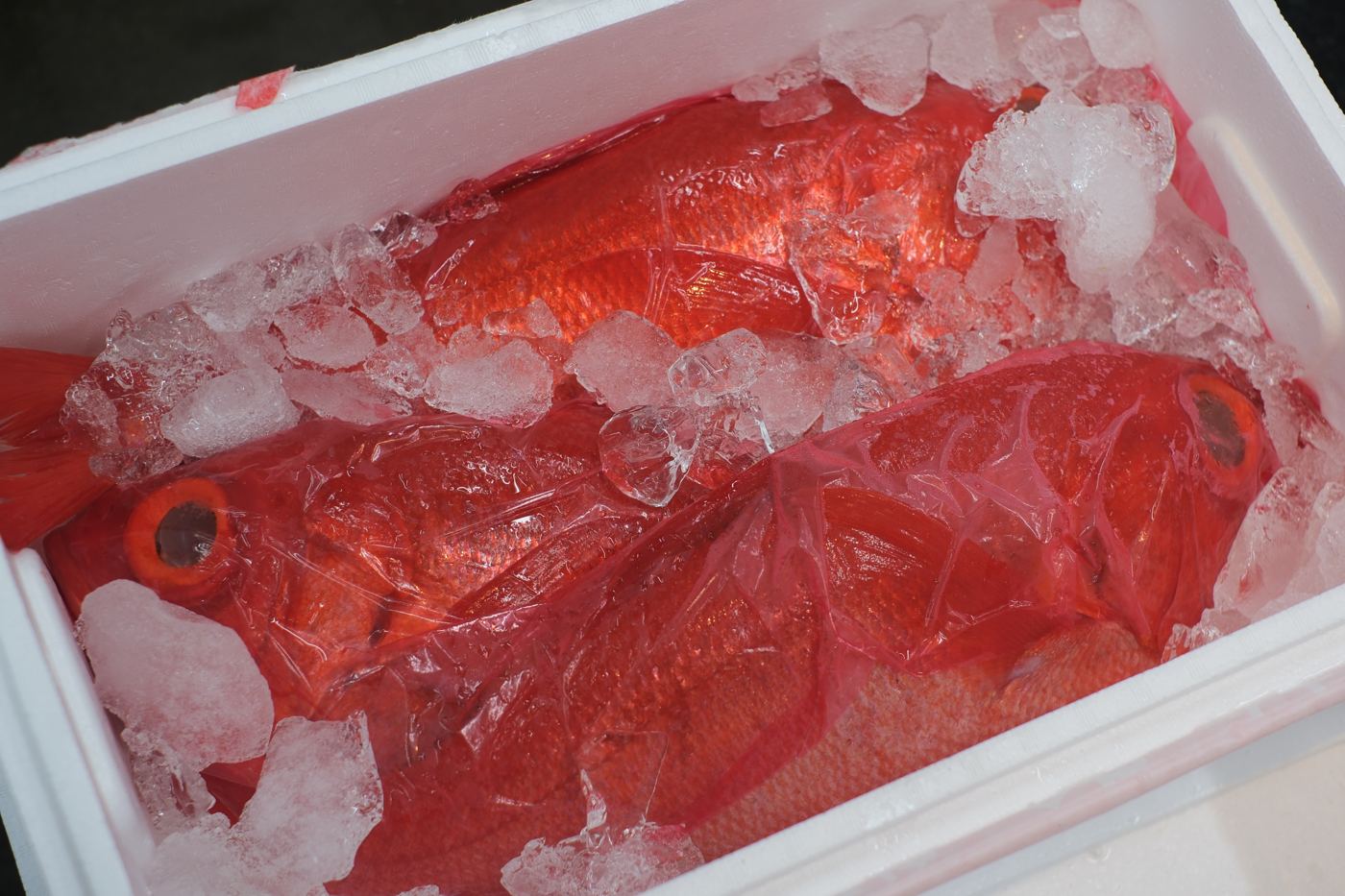 Golden eye snapper (Kinmedai) at market