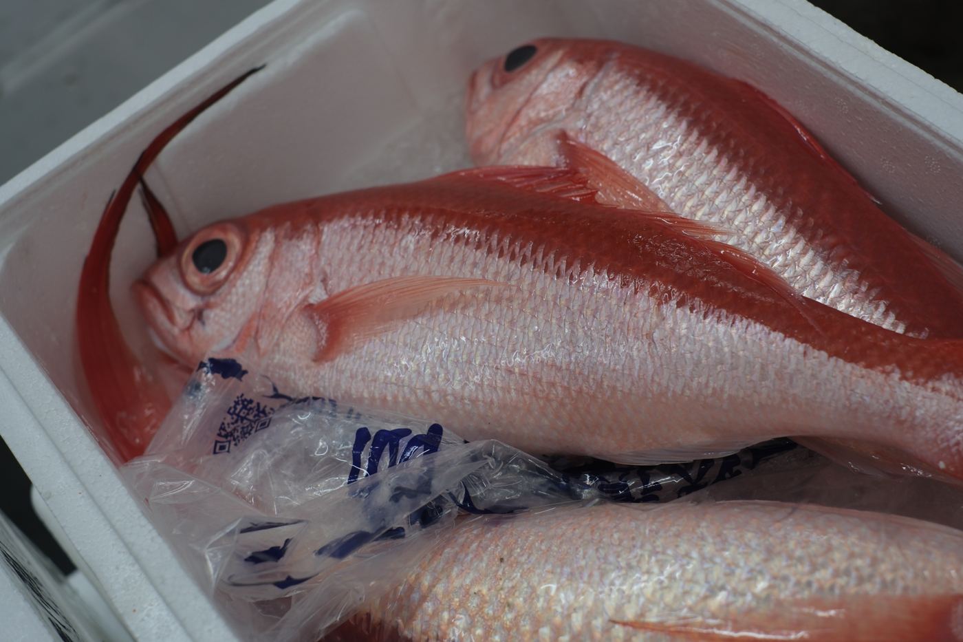 Onaga-dai at market