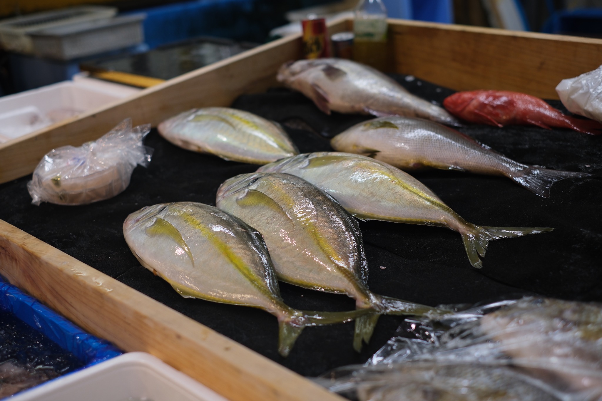 Striped jack (Shima-aji) at market