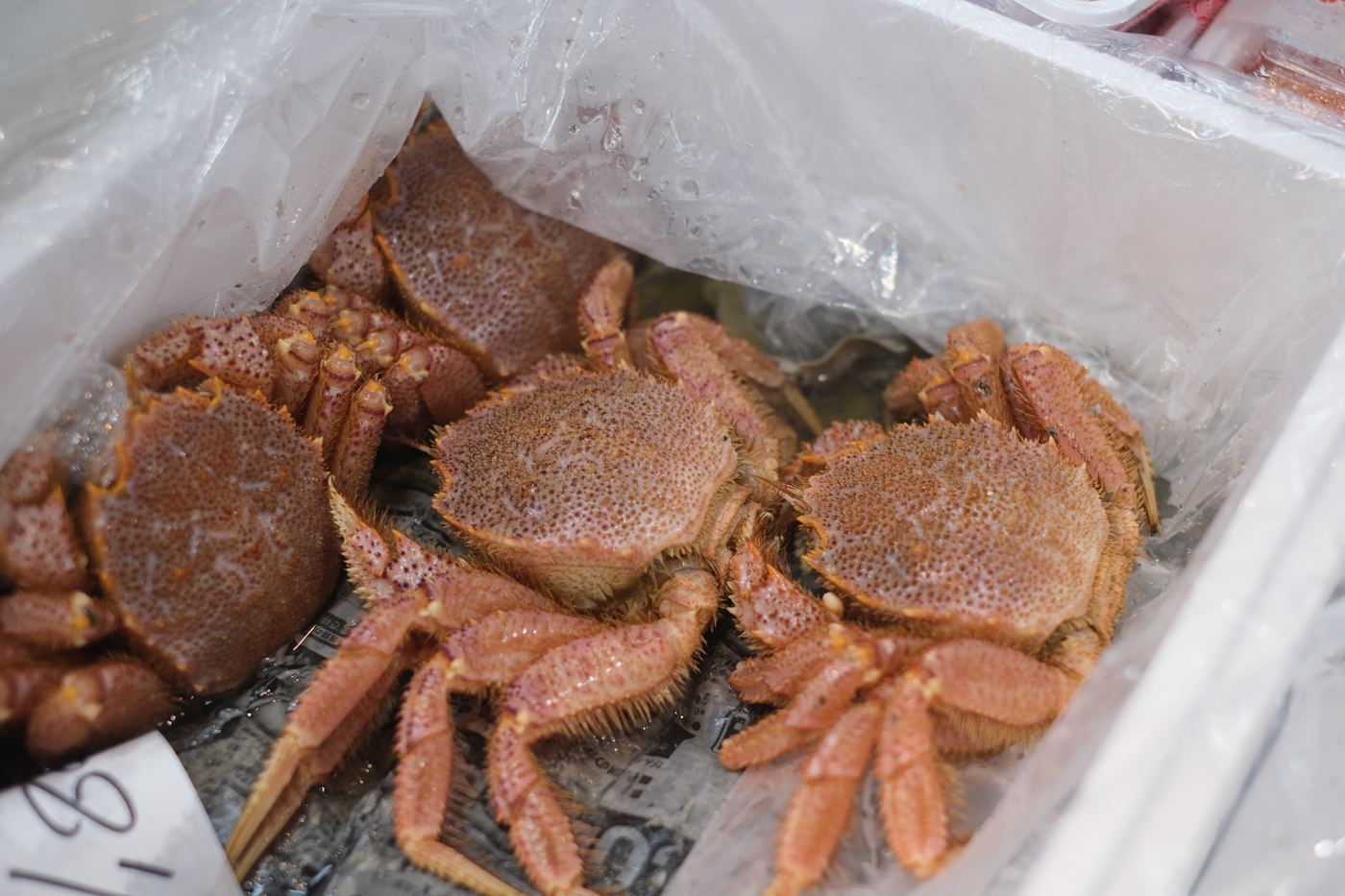 Kegani hairy crab at market