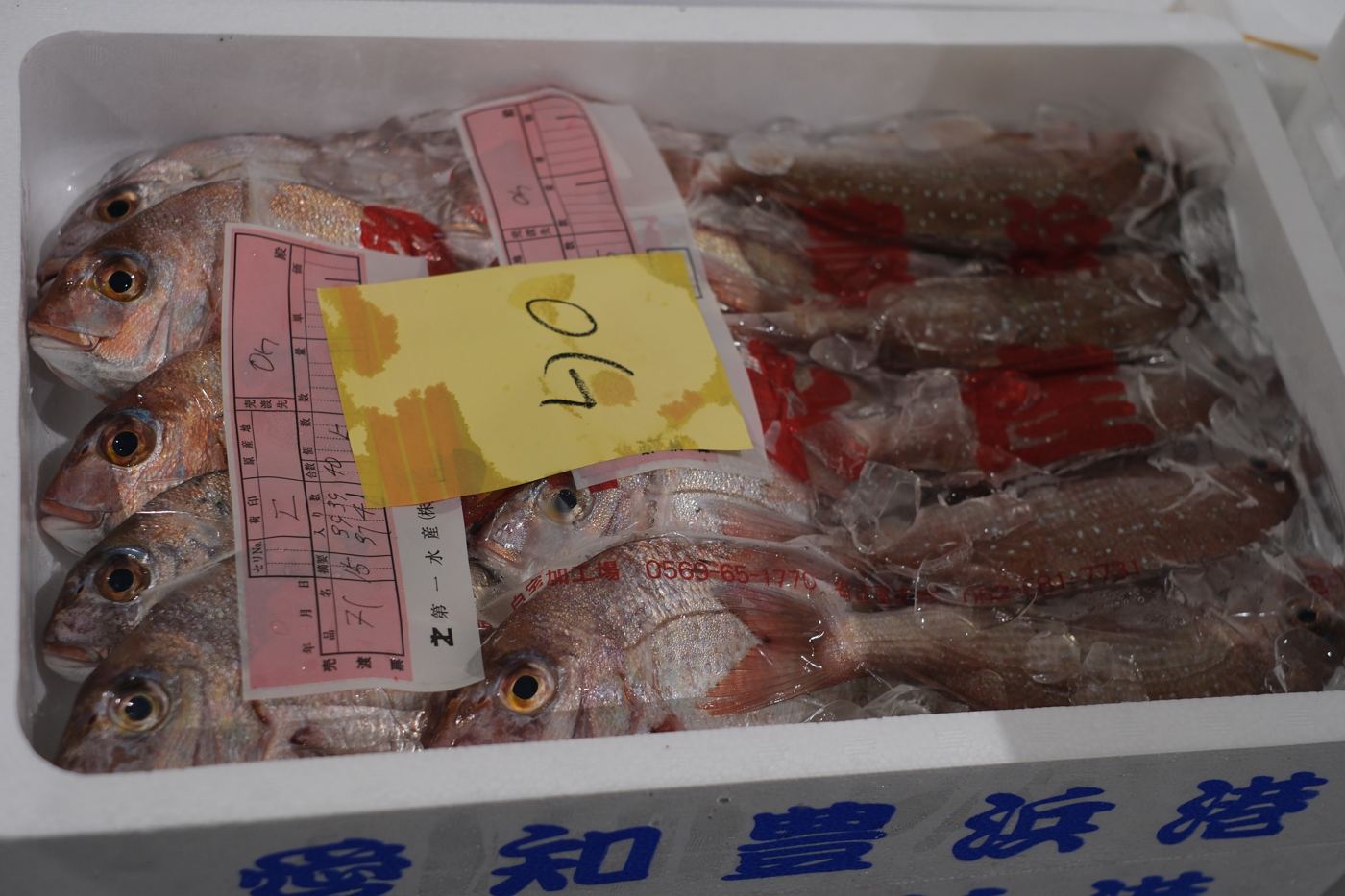 Sea bream crate at market