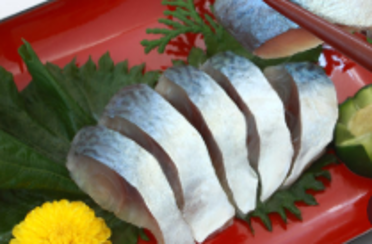 Vinegared Mackerel