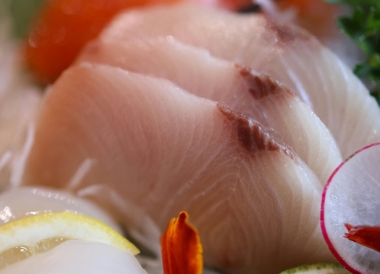 Premium hamachi sashimi close-up
