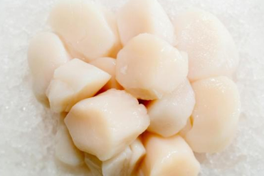 Scallops