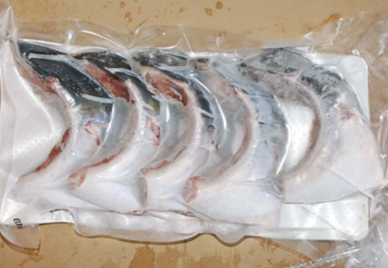 Yellowtail Collar (Buri Kama)
