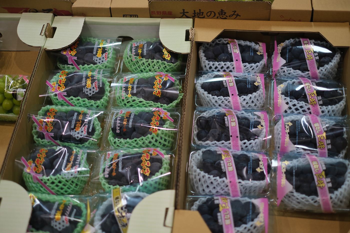 Kyoho and seedless grapes in gift boxes