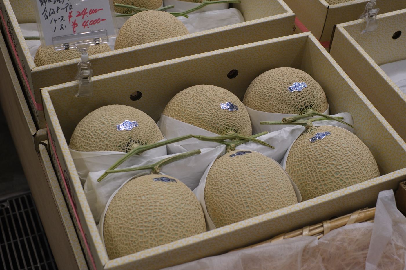 Premium Japanese melon in gift crate